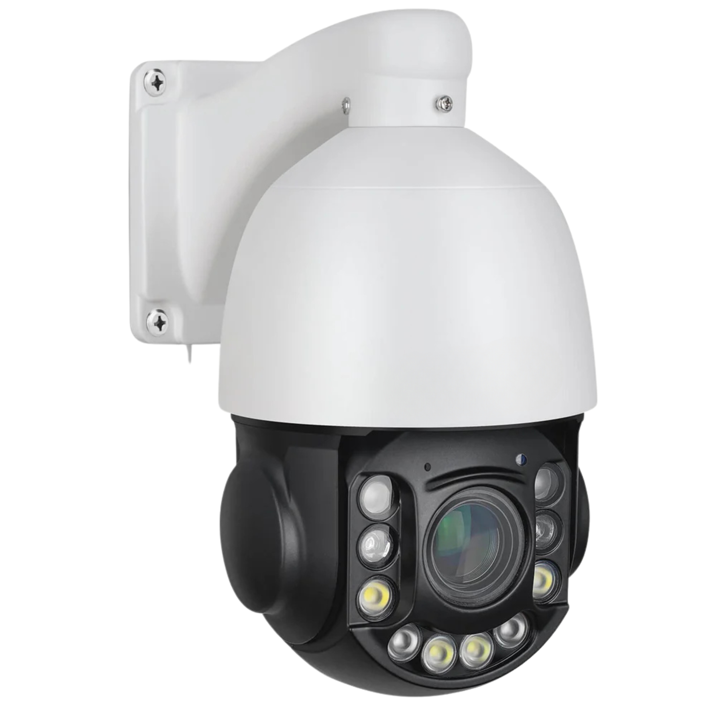 99 (800 x 800 px) (5) 99 (800 x 800 px) (5)